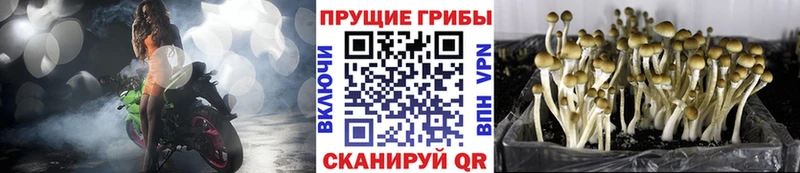 Галлюциногенные грибы ЛСД  Певек 